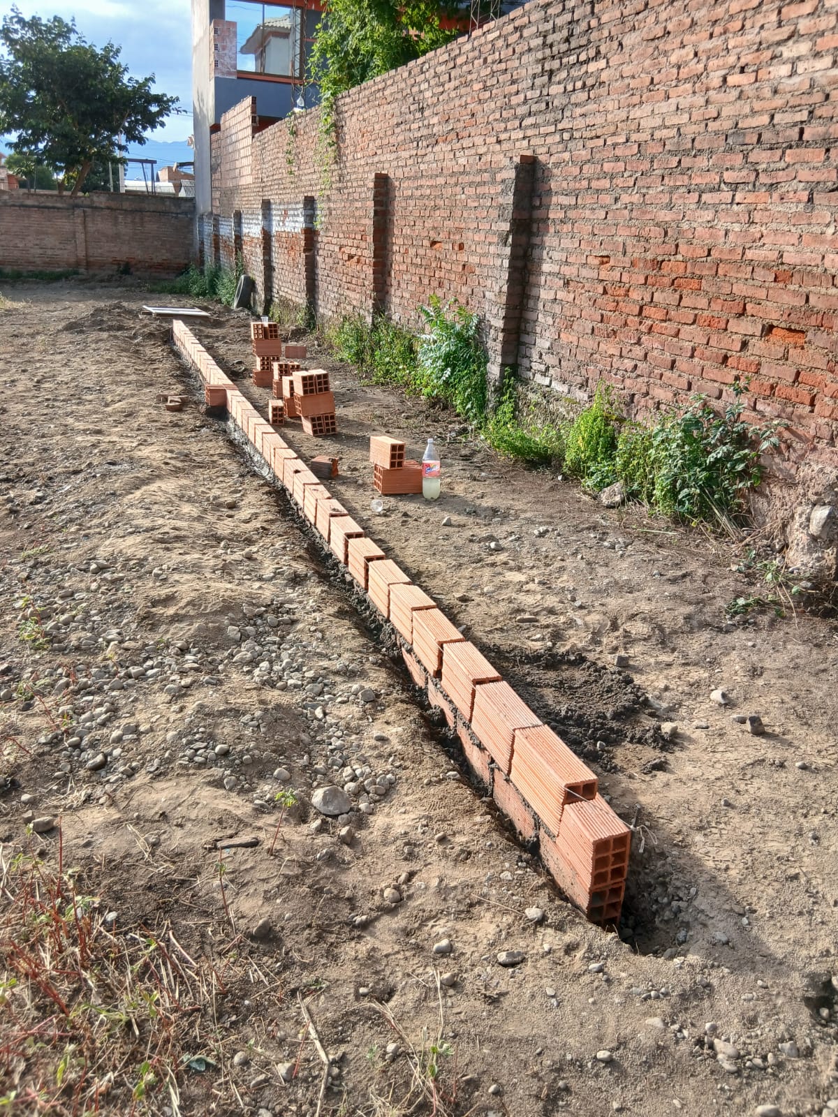 Sistema Hidropónico