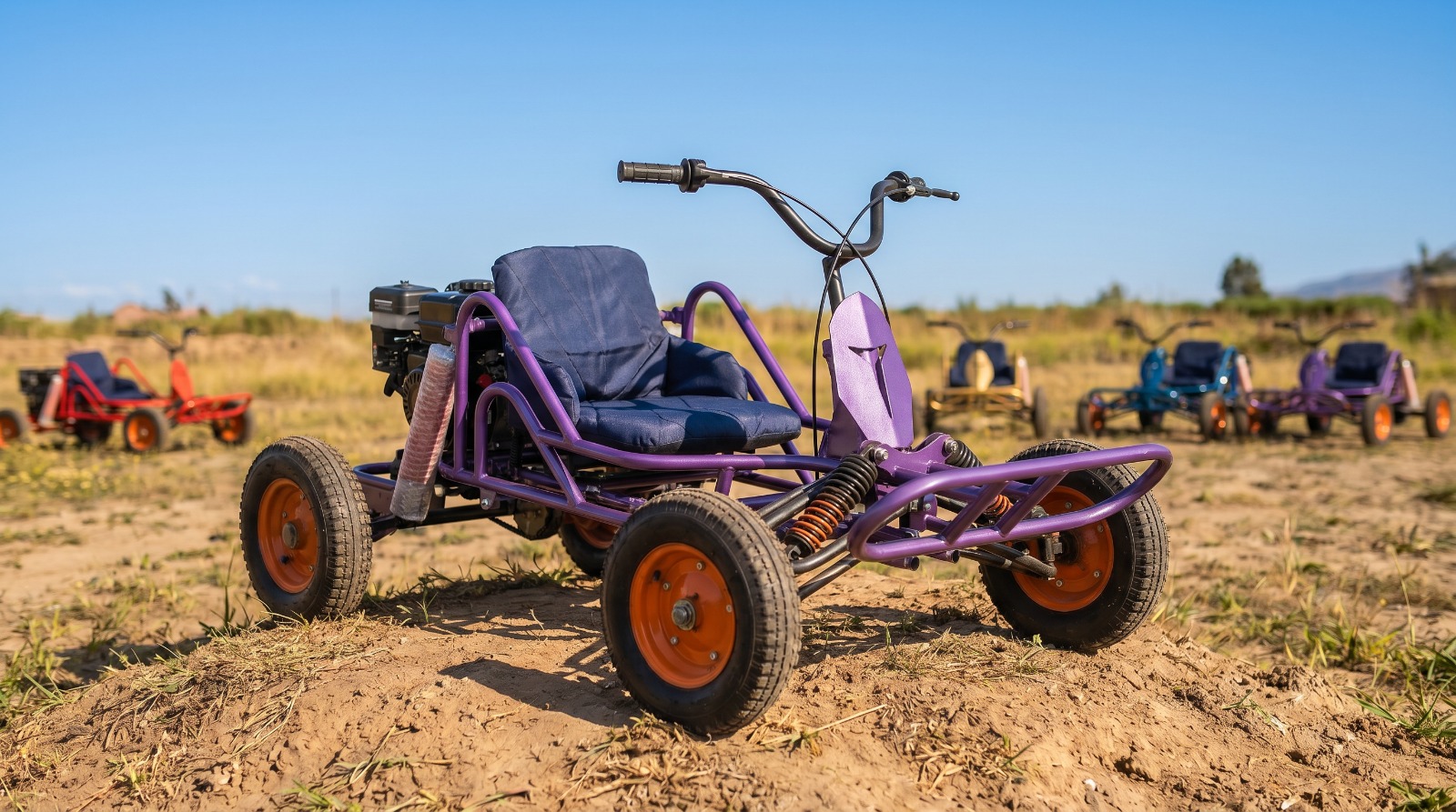 Buggy Individual