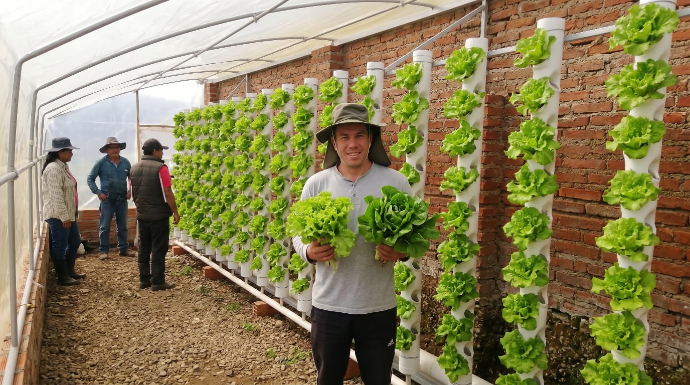 Sistema Hidropónico